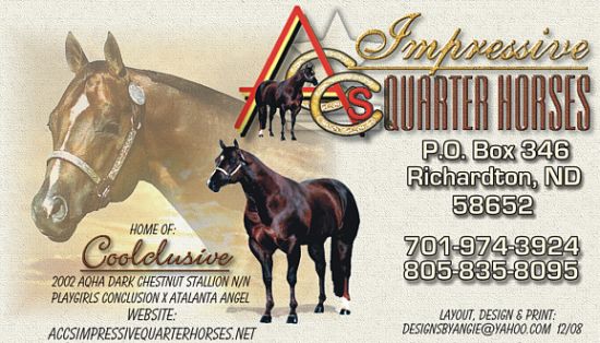 quarter horse north dakota