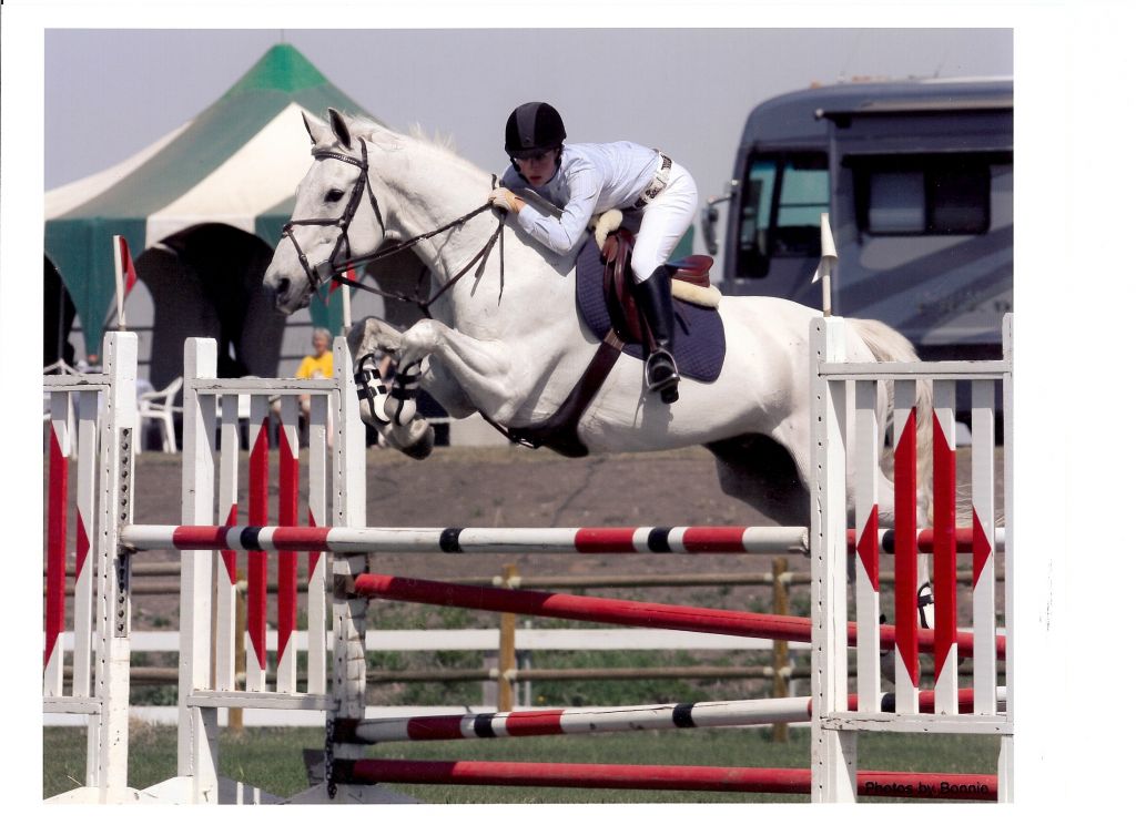 Trailers For Sale Calgary >> EquineNow Horses for Sale Trailers For Sale Calgary >> EquineNow Horses for Sale