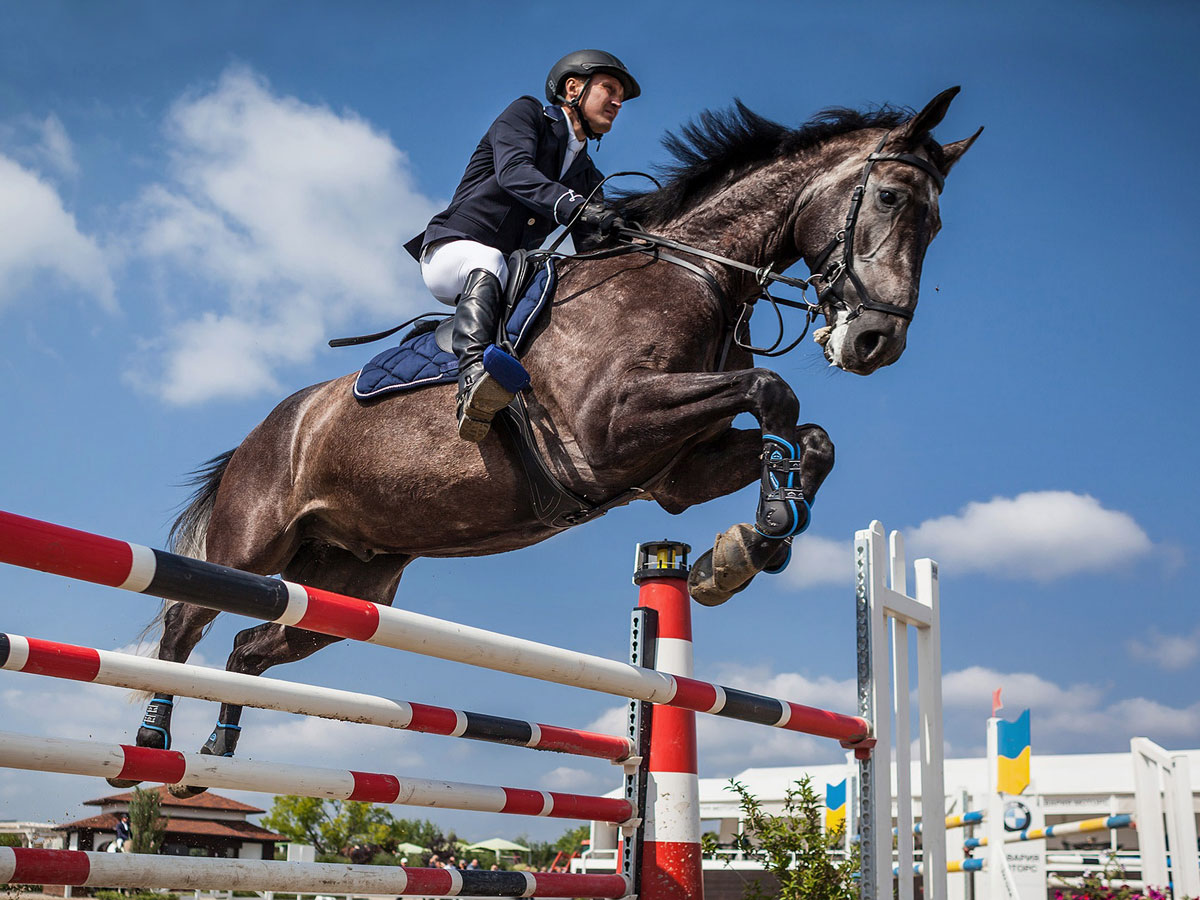 Jumping Horses