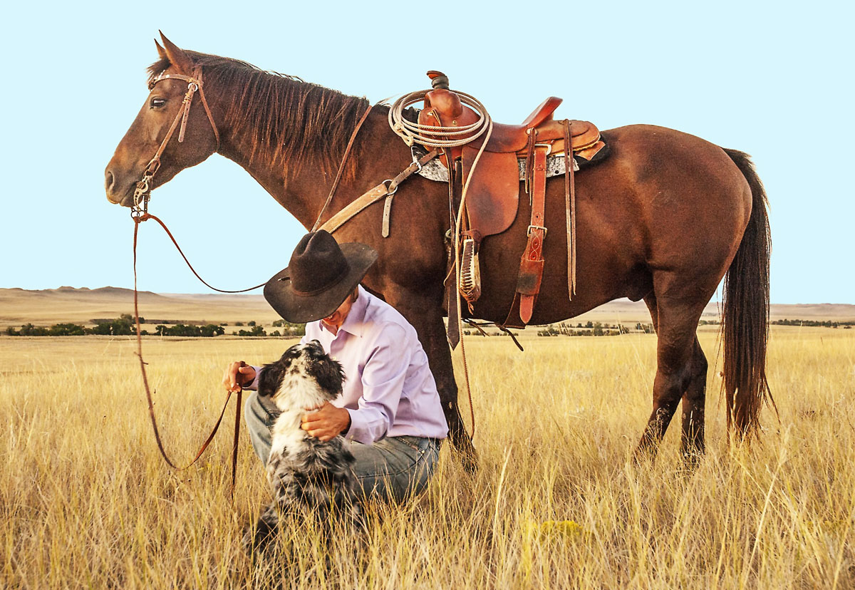 Ranch Horses