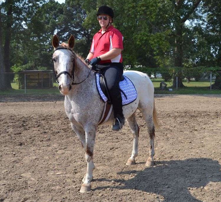 Therapy Horses