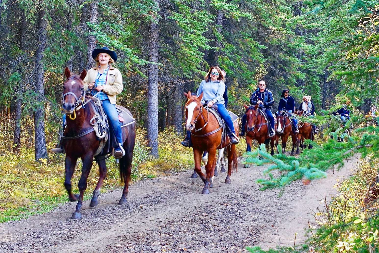 Trail Riding Horses