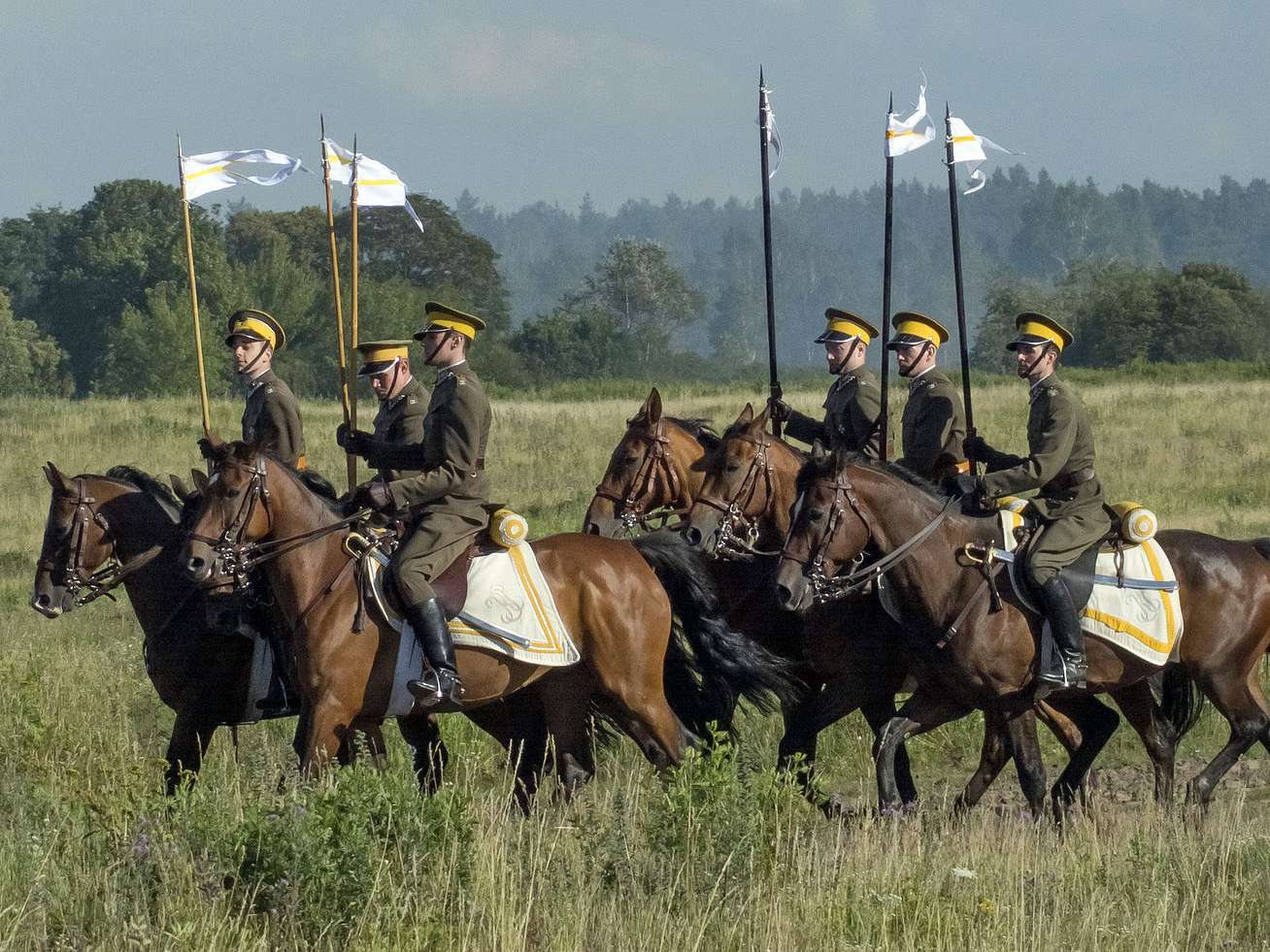 What Does Bombproof Horses